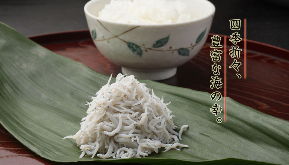 �t�؋��Ƒg��