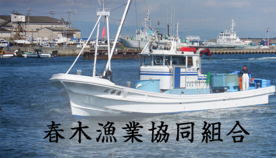 �t�؋��Ƒg��